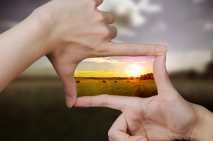 vision photo